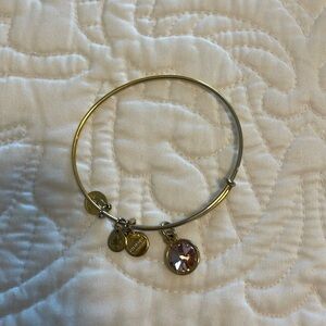 Alex and Ani purple charm